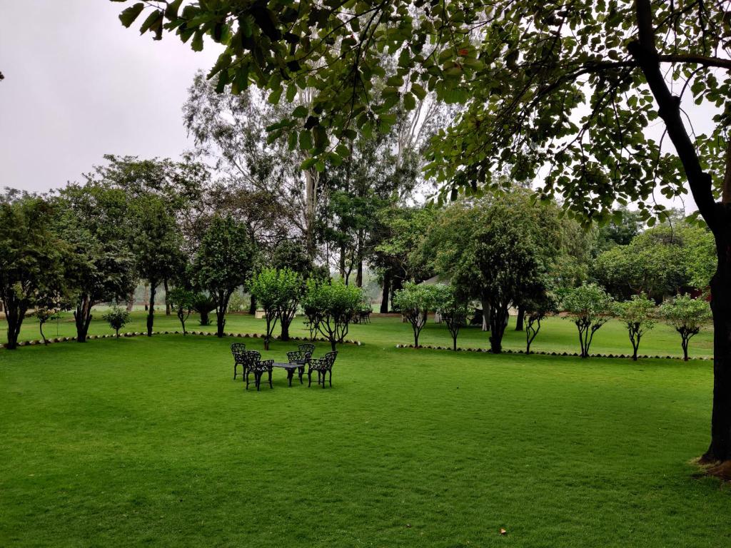 Tree of Life Dak Bunglow, Dera Bassi