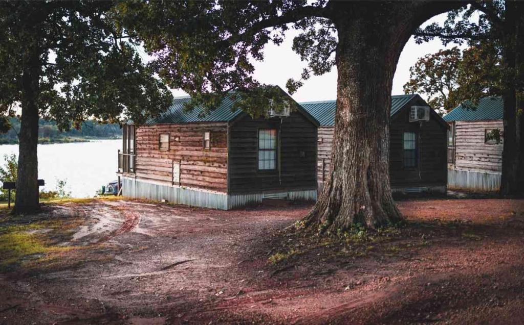 Lakefront Cedar Cabin - 10